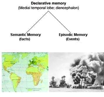definition declarative  memory