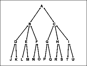 Hierarchy