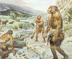 Homo habilis time period