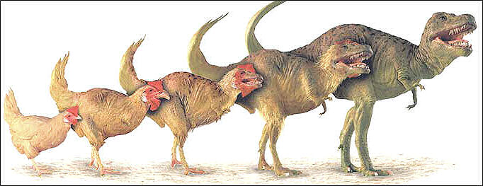 Dino-Chick