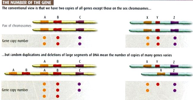 Number of Genes