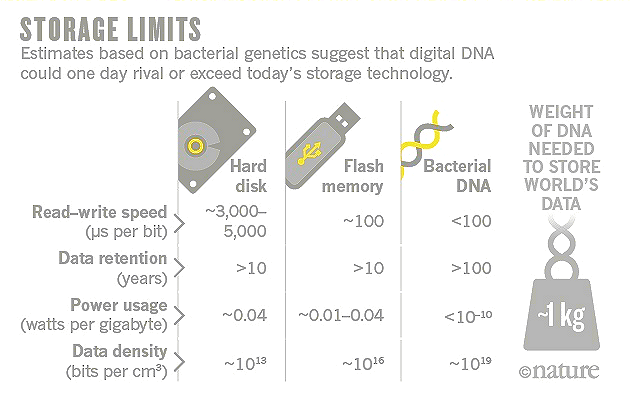 Data Storages